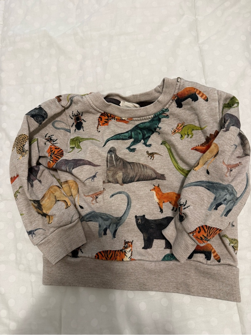 H&M Beige Kids Sweatshirt with Colorful Animal & Dinosaur Print